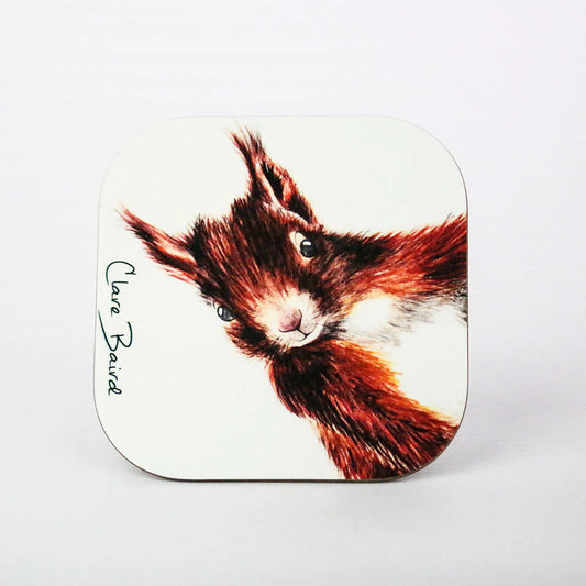 Squirrel Coaster