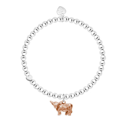 Bracelet - Highland Cow