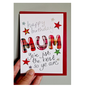 Happy Birthday Mum, ye're jist the best so ye are